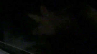 Slut Cheating Wife MILF Bree Branning Sucks off Swinger in Back of Car
