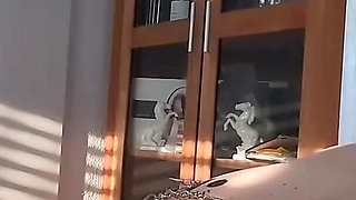 Slaveofm Hell of Hurt: Whip, CBT, Electricity and Nasty Clamps - Part 7 V. 8