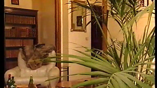 Unleashed Passion (1991)