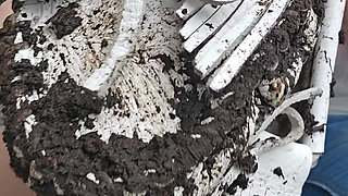 Muddy White Mocs and Jeans Pee