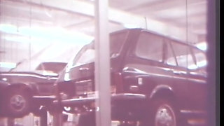 Vintage sex in the car