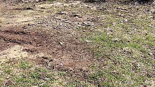 Pee on the Ground Near Truck Wheel