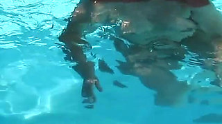 The Other Day in the Pool