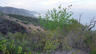 OnlyFans-No Way Out Is One Way In