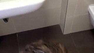Fantom Ep. #17 - Alice Maze: Xmas Special (toilet Fun and Cum)