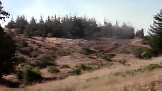 Hardcore vintage anal sex outdoors