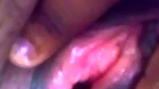 Roselee cum on the live stream, a must watch