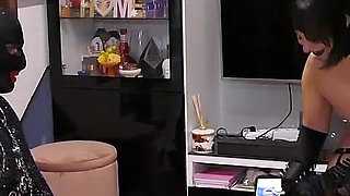 Stella's Cat Training