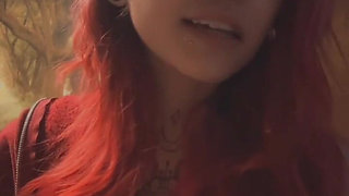 Today’s Live Stream Update