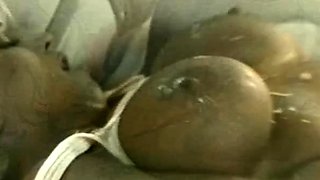 Bustys Cam Webcam Big Boobs Free Big Boobs Cam Porn Video