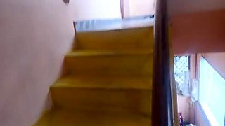 Cheating Housewife Hot Stairs Romance with Pushpa Valli