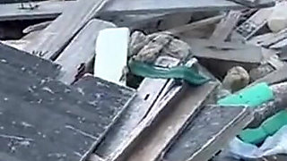 Hot Brunettes in Thong Bikini on the Trail of the Deserted Beach Delicious