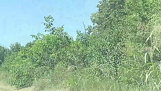 Pissing Through the Window and Mouth Piss on the Road