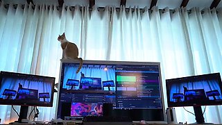 Femdom fetish babes punish dude with toy