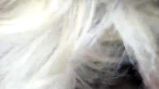 Single American Mom Loves Sucking Cock