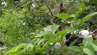 FuckMyIndianGF - Indian GF Sex Videos