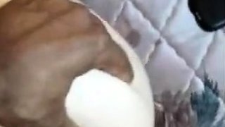 Big-Titted Amateur PAWG Loves BBC