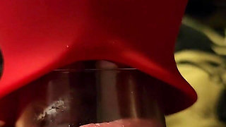 I Got Lots of Toys Another Sucking Licking Toy to Try