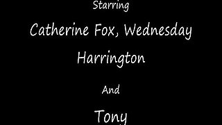 You Want Cream Bitch?