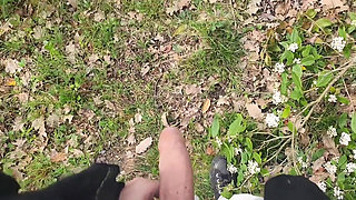 Jogging in the Forest