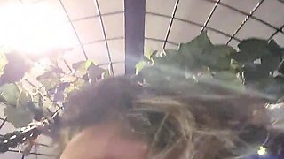 Alineflavio - update #99 - 20230829 114052 - Jul 16, 2024