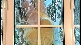The Window Cleaner