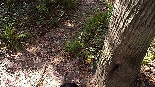 Adventure in the forest