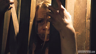 Horror Porn 35 the Butcher