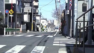 238-routhy-with-routeit-sfs