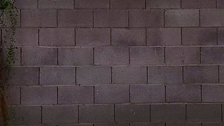 Tattoed Amateur Webcam Girl Hot Dildo Action Masturbation