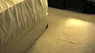 Rough Prone Bone with Big-Ass MILF Swingers