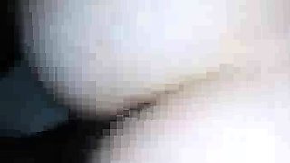 Thick White Girl Sucks And Fucks nn