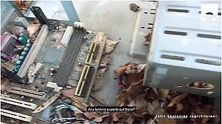 Arteya Kneels Down To Suck His Dick In A Lost Place Dating With Arteya Dee And Steven Shame