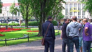 Brunette Amateur Sucks Stranger In Public Cash Stunt