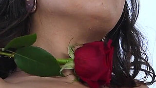 Vajenga! the Lap of Luxury