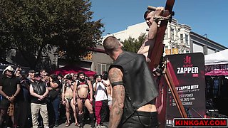 Buck is led by Christian around on a leash