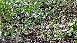 Meeting a Country Girl on the Street and Taking Her to the Woods.