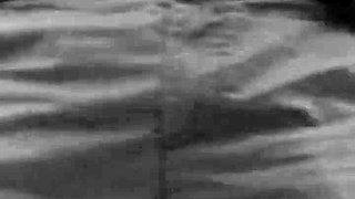 Smokerbeast Alpha Male