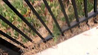 Hardcore Fucking Scenes with Blowjob Giving Brunettes
