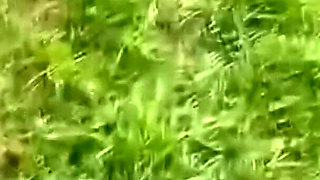 Outdoor Humiliation for My Sissy Puppy