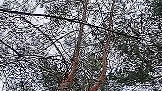 Risky Female Peeing and Masturbation in the Forest