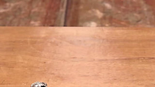 Baking with Chocolate 2 I so Want to Get Into Monique Pants