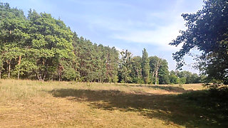 Naked Near the River in Public, Sex, Blowjob, Orgasm