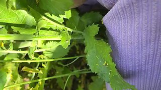 Desi Girlfriend Ritu Outdoor Blowjob & Cowgirl Sex - Full HD Village Fuck