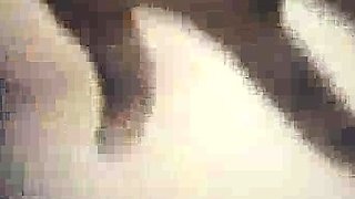 Sexy wife gets creampie from large BBC dick pp