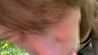 A Summer Day in the Park