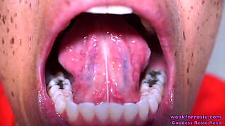 Exploration of Rosie's Mouth (standard Definition)