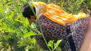 Desi Bhabhi Doggy Style Fuck in Mustard Field - Outdoor Sex with Dewar