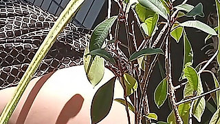 I Pee in the Potted Plant Again