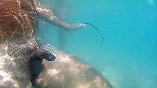 DreamStudioCouple Nude Beach Fuck - Big Tits Amateur MILF Doggystyle Orgasm